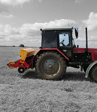   Vredo